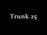 Trunk 25 - Fourrer Des Grosses Naines Cochonnes