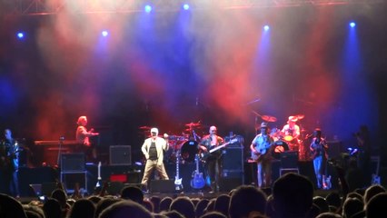 Ostbahn Kurti / Feuer / Kaiserwiese, Vienna, Austria / 2011-08-28