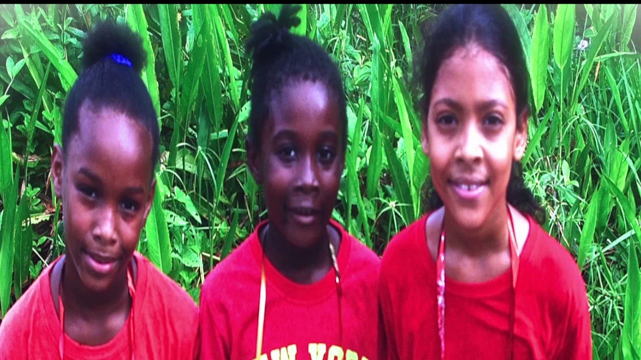 Le CROSS. déc 2015 - Ecoles Rochambeau & Stoupan