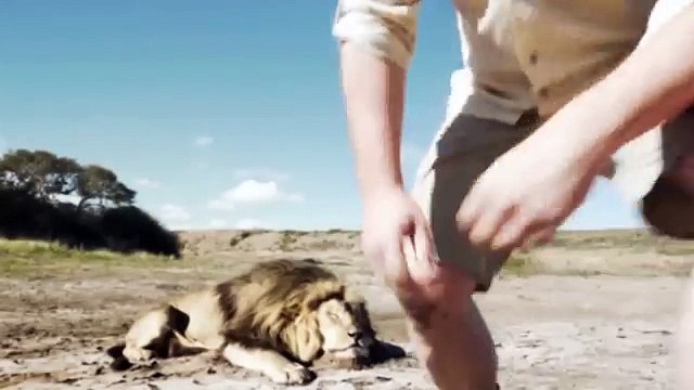 Mira por qué el video de unos cazadores y un león generó polémica en las redes