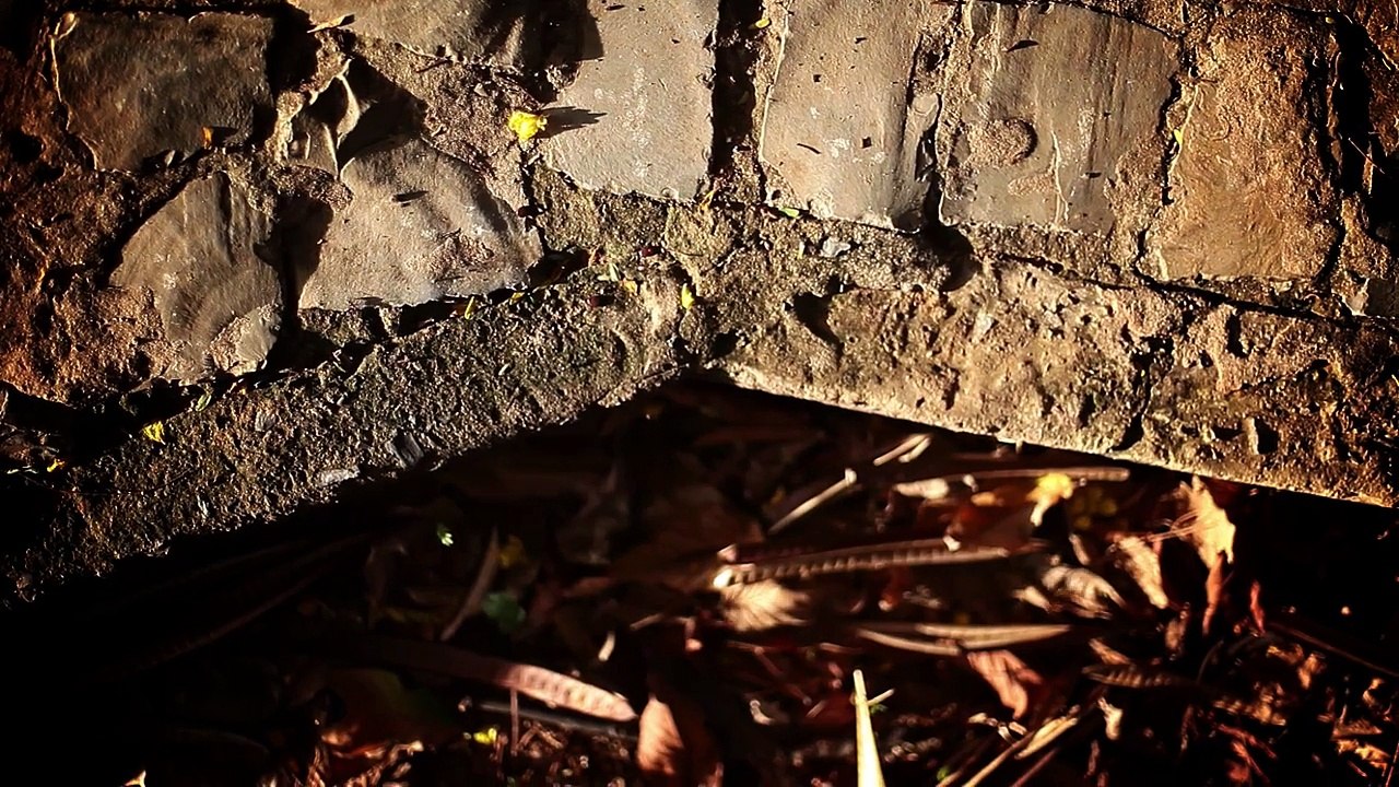 video arte “Vertente” (Samuel Reis, CineClube Cinema Comentado / Minas Gerais,2014)