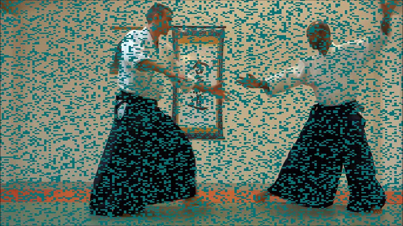 Aikido : aide memoire 1 10 2014