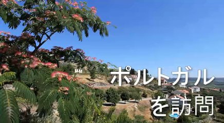 ポルトガルを訪問：1分間のビデオのポストカードと旅行ガイド