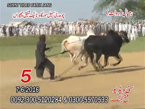 T.A.M.A.S.H.A 5th Time at Ramyal (Rawat) CH Sohail-Naik Shafee1 (7-7-2016)