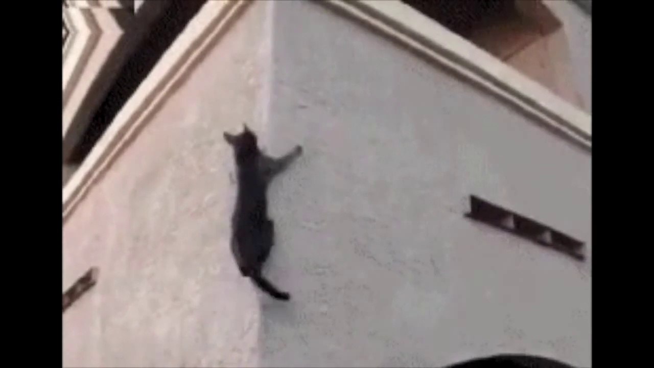 Funny Minute