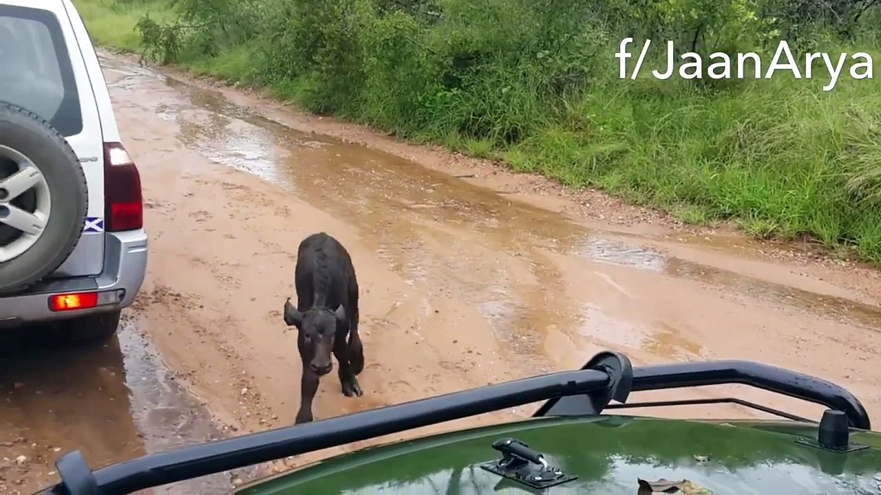 You Won't Believe What Happens At The End