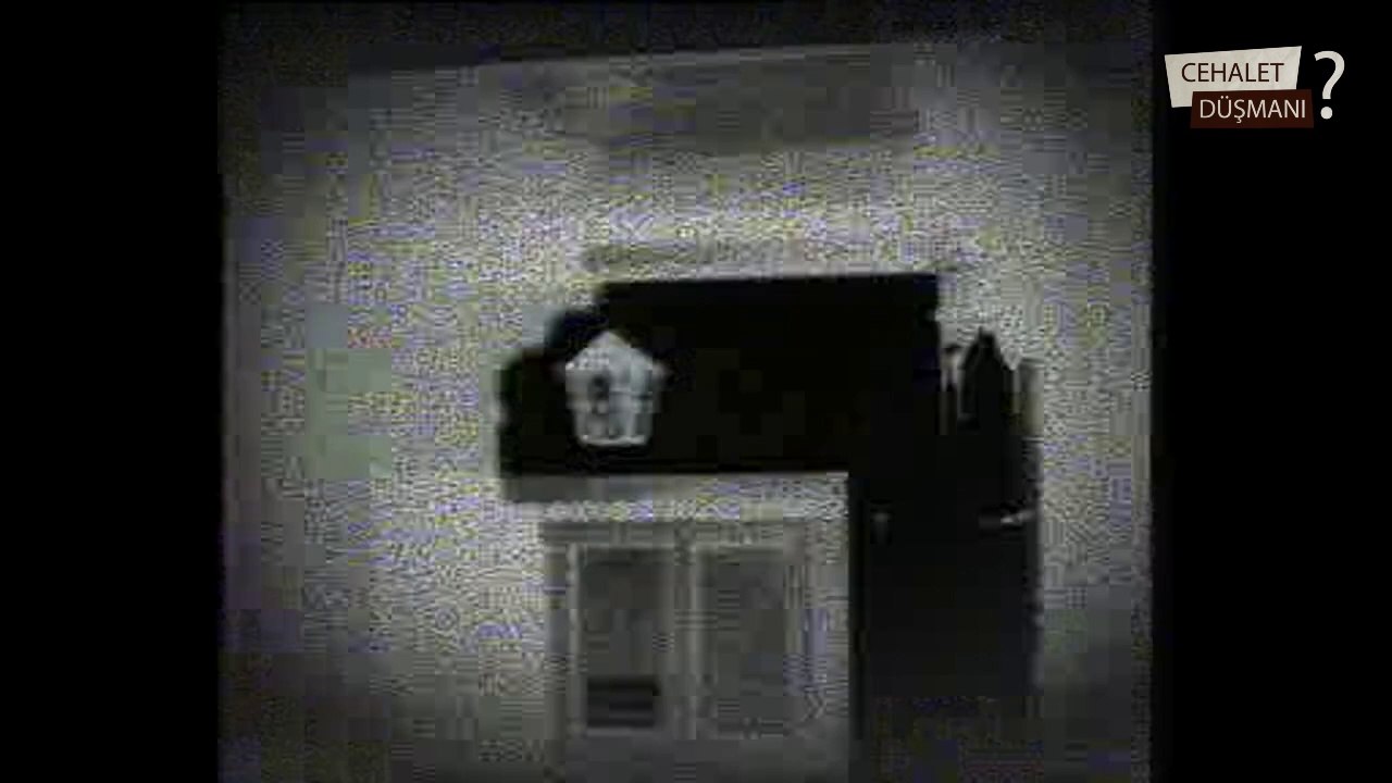 Kuş Karanlıkta Sonar Sistemiyle Avlanıyor - Bird hunting in Darkness