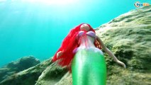 Подводное Видео с Куклой Штеффи Русалочкой на канале Tiki Taki Kids! Смотрите новое видео для детей