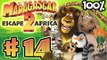 Madagascar Escape 2 Africa Walkthrough Part 14 (X360, PS3, PS2, Wii) 100% - Welcome to Africa (2) -