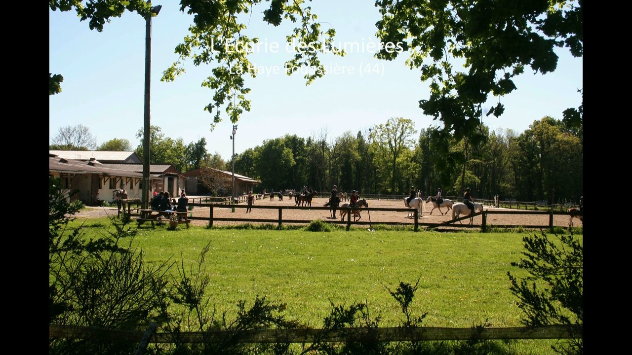 Ecurie des Lumières 44