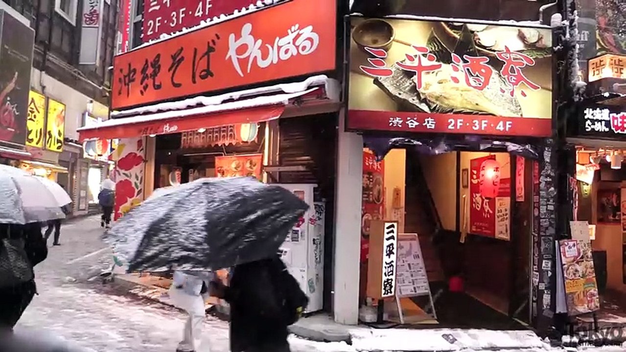 Tokyo Snow 2014 - 雪の東京 - YouTube