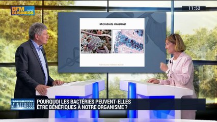 En quoi les bactéries peuvent-elles être bénéfiques à notre organisme ? - 09/07