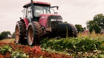 Western Australia Southern Wheat Belt - Disaster Resilience Planning for Australian Agriculture