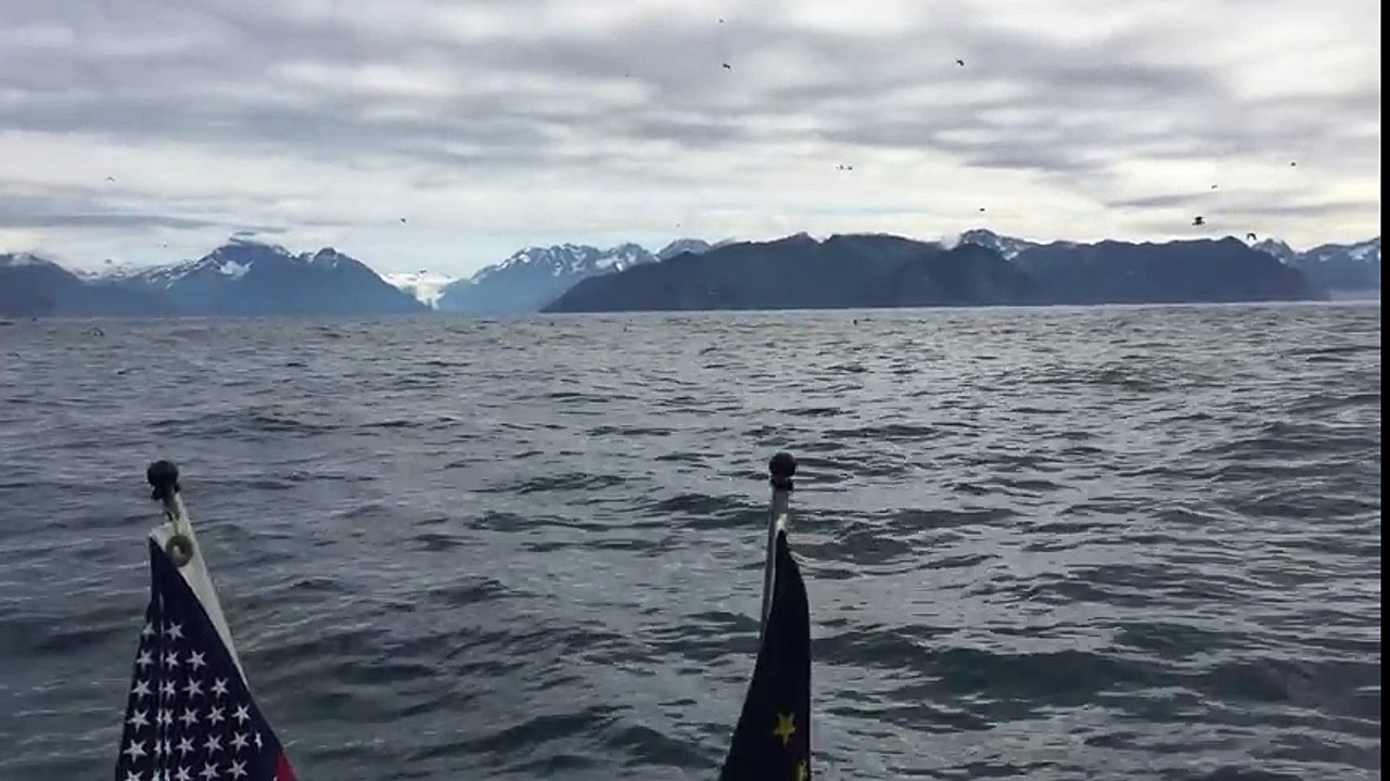 Au beau milieu de la mer, deux pêcheurs entendent un grondement bizarre ce qu'ils voient va choquer plus d'un