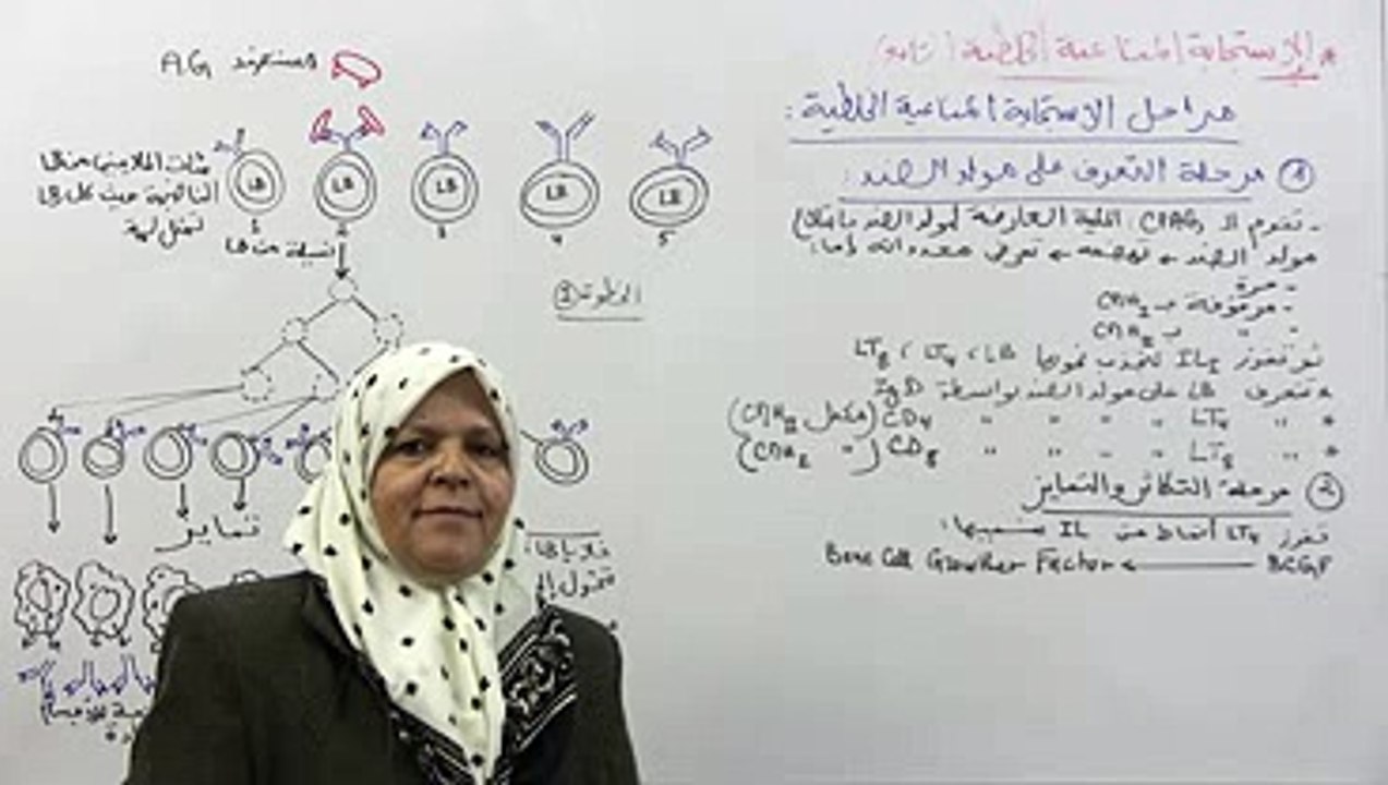 حوصلة النشاطات 3 4 5