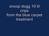 snoop dogg 10 lil crips