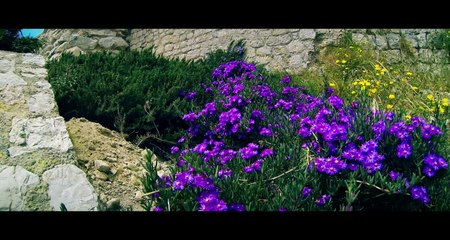 Ibiza. Castillo de Dalt Vila