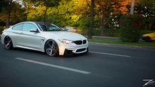 BMW M4 F82 Compilation
