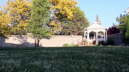 The Candy Cannon (Shoots Candy 100 feet!)