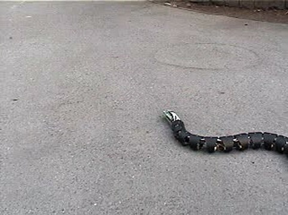 Robotic Snake