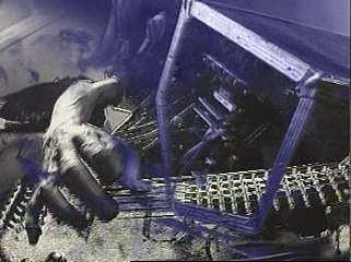 Unleashed - The One Insane