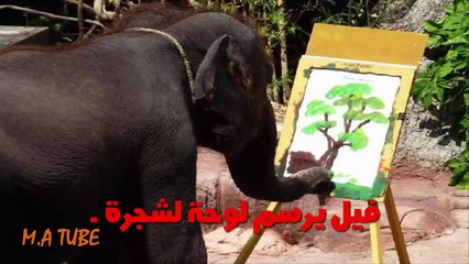 لن تستطيع حل هذا اللغز - ولكن بعد ان تعرف الاجابة ستضحك على نفسك !! مدهش جدا