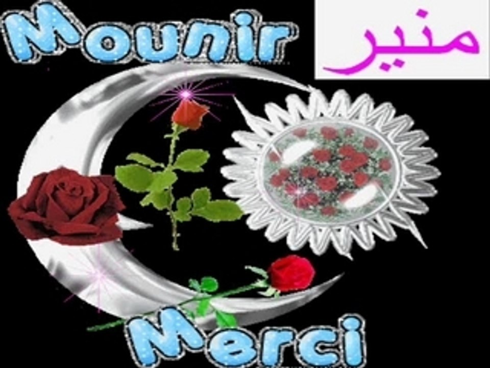 STAIFI - CHAOUI - RAI