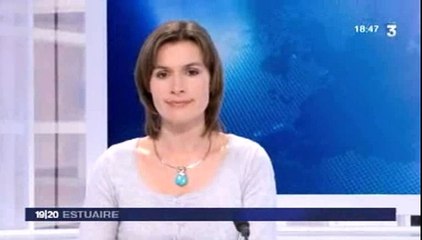 JT France 3 24 mars 2010.avi