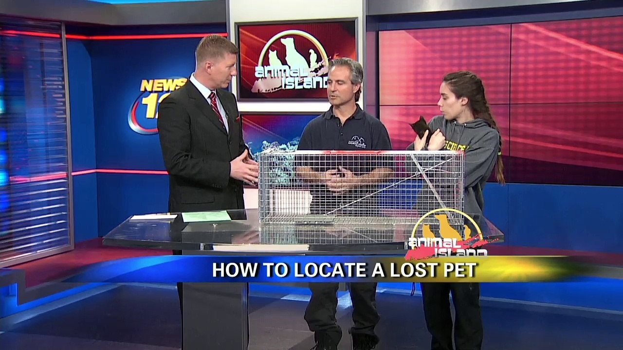 Michael Pastore, director of the Town of Hempstead Animal Shelter, goes over what to do if a pet escapes from home.