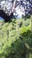 My Gibbon Experience :Ziplining in Huay Xai, Laos, July 2016