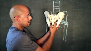 Best Piriformis Syndrome Stretches & Exercises - Sciatica Treatment at Home - SI Joint
