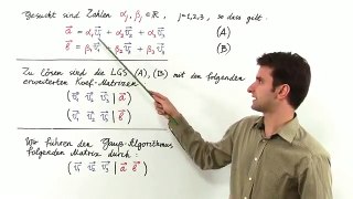 Kapitel 2 Aufgabe 3: Linearkombinationen, Basis | Mathematik | Lineare Algebra