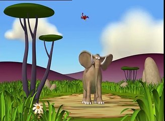 The Elephant does his Aerobics