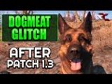 Fallout 4 | NEW Dogmeat Duplication Glitch After Patch 1.3 (After Patch Dogmeat Exploit)