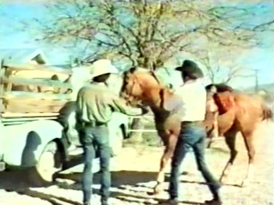 Kingdom of the Spiders (1977) - VHSRip - Rychlodabing