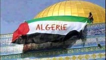 فلسطين الجزائر Palestine Algeria