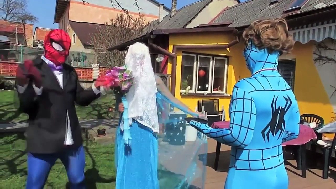 Spiderman and friends | Elsa frozen! Comic Wedding