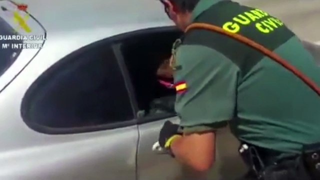 Agente salva a un perro de morir asfixiado dentro de un coche