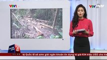 Xác định đối tượng cầm đầu vụ phá rừng tại thủy điện Đồng Nai 5
