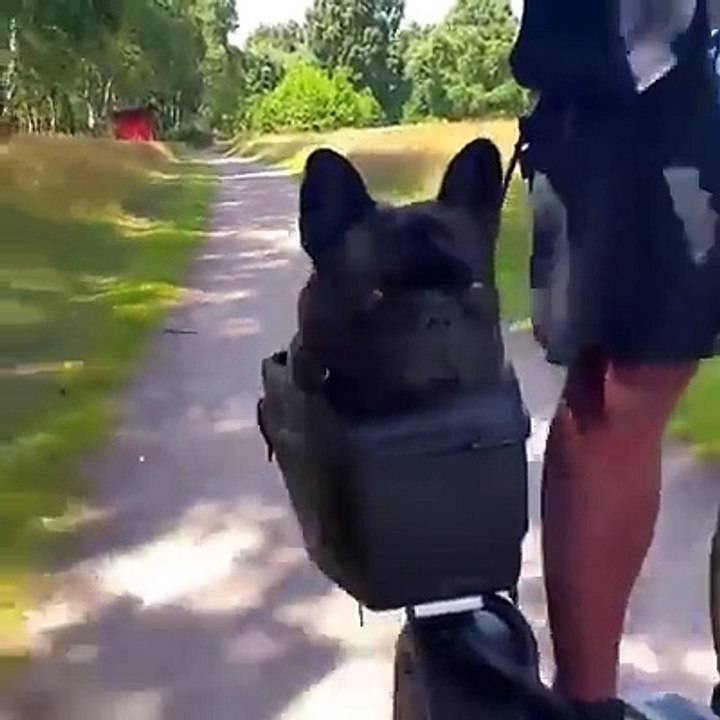Too Fast and Too Furious