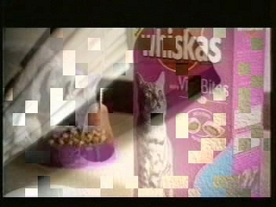 Drole Pub Whiskas Chat Vs Souris