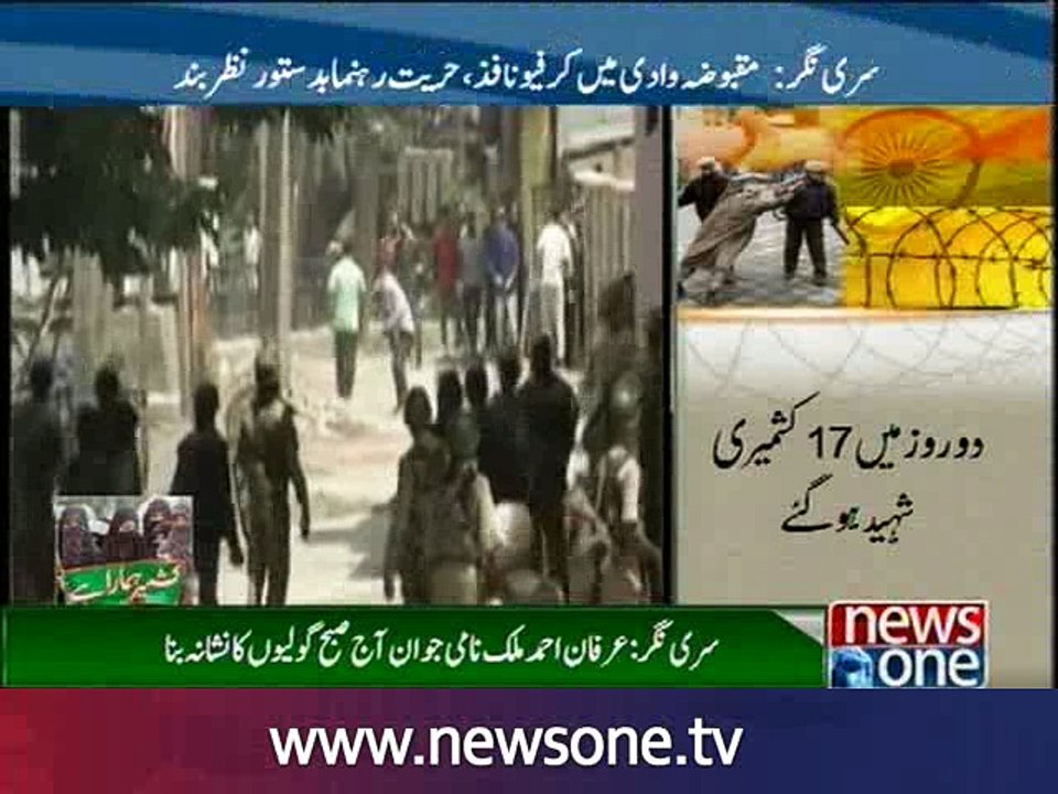 17 die as protests continue in India-held Kashmir after militant's death