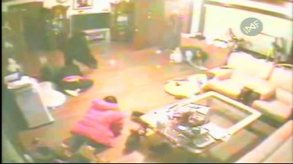 #20 Ladrones Sólo Roban Cachorritos - Los Criminales Más Tontos del Mundo