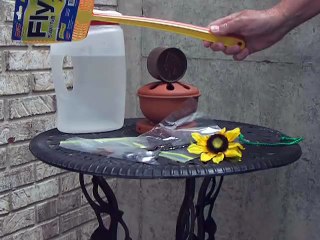 Get Rid of Houseflies - Pennies in Bag