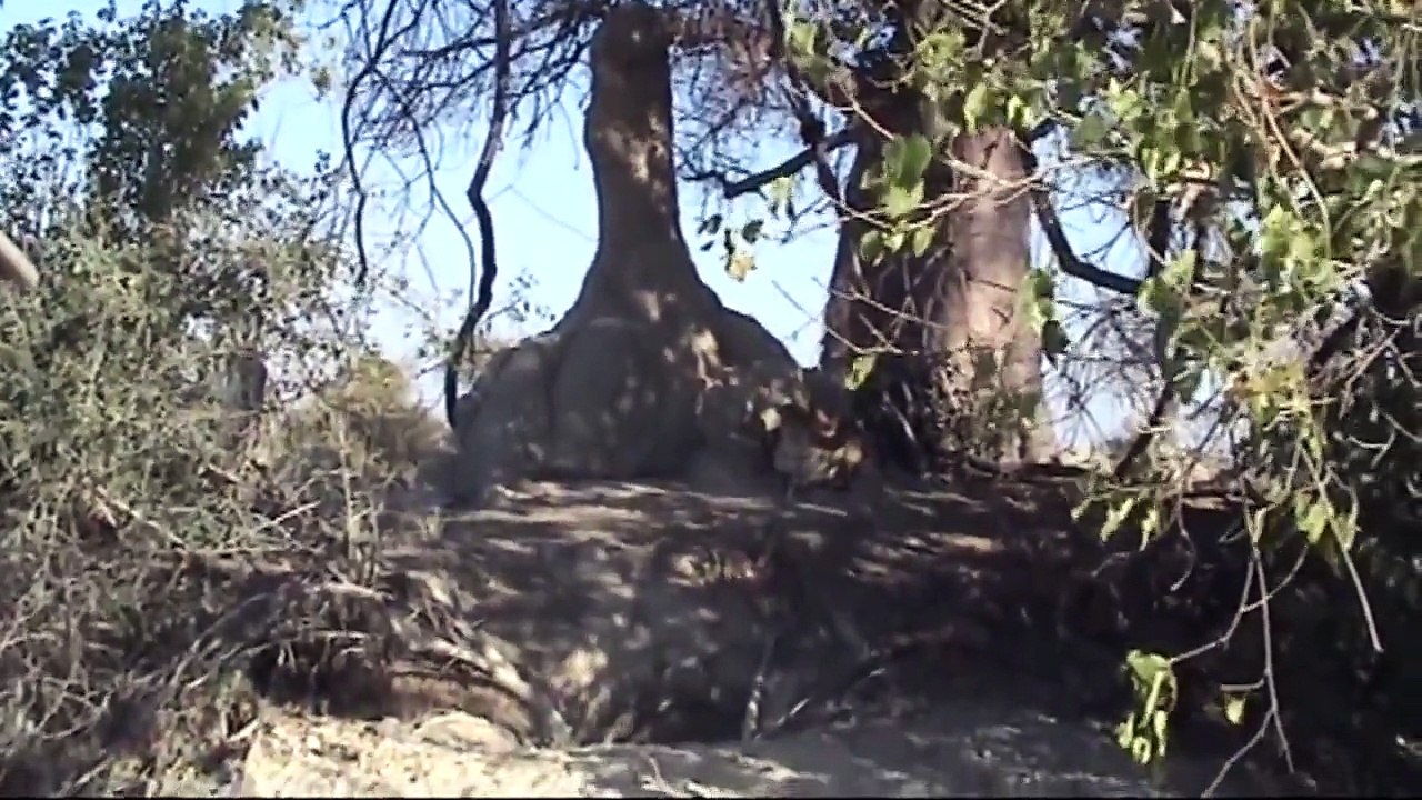 chad hatten houston, houston chad hatten houston houston chad hatten v usa v usa , crime crime crime crime crime