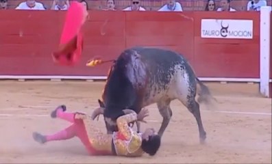 Teruel - giovane torero viene incornato durante la corrida e muore