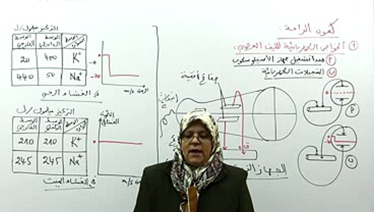 كمون الراحة 1