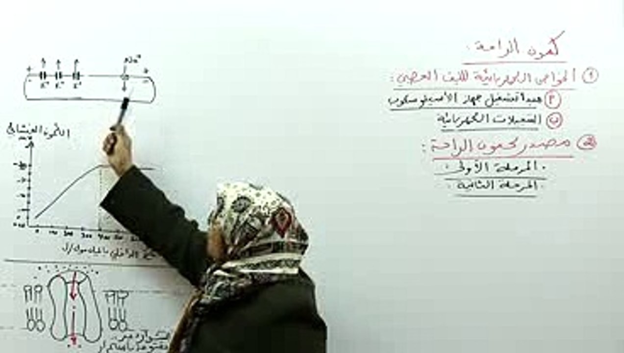 كمون الراحة 2