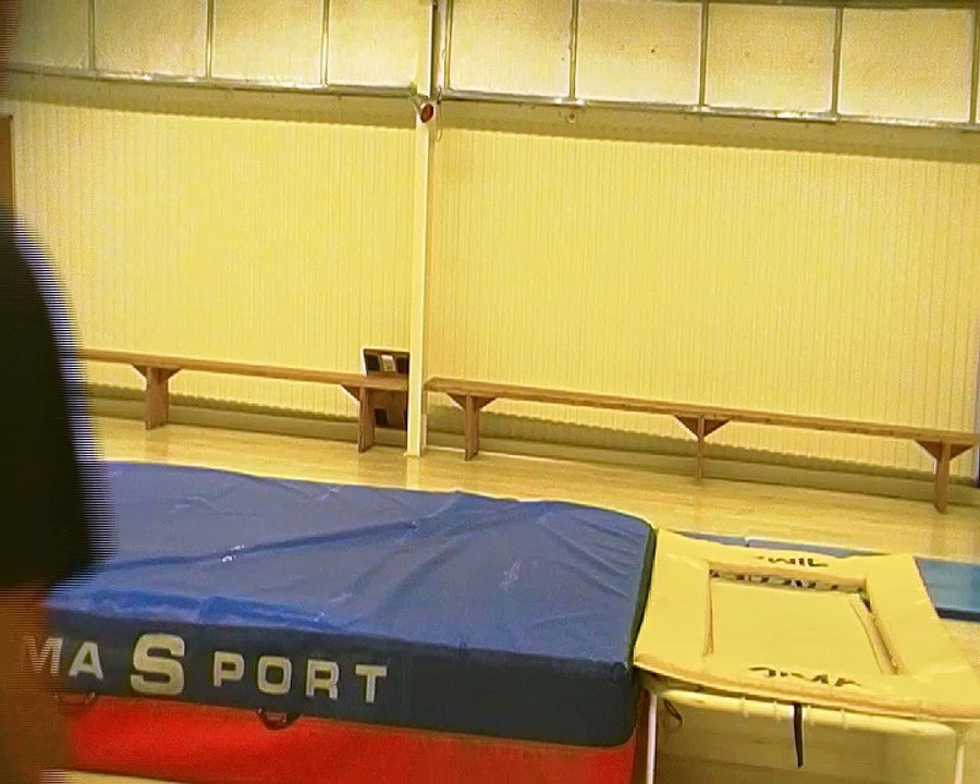 Henri Mauriès Salto Arrière (Back Forward 360°)