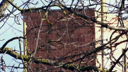 Обзор будущего iphone 7